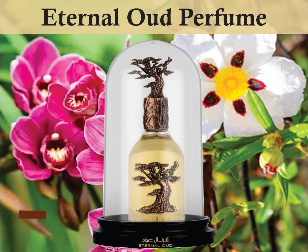 Sapphire's Choice Eternal Oud | Eau de Parfum Unisexe 100 ml | Parfum Vanille, Oud et Ambre | Pour Homme et Femme | Inspiré par Arabian Oud